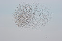 BUITEN BEELD Foto: 40208