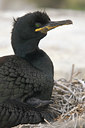 BUITEN BEELD Foto: 40251