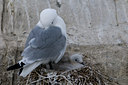 BUITEN BEELD Foto: 40265