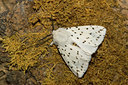 BUITEN BEELD Foto: 40284