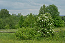 BUITEN BEELD Foto: 40304