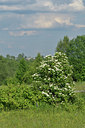 BUITEN BEELD Foto: 40306