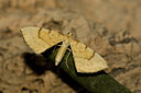 BUITEN BEELD Foto: 40312