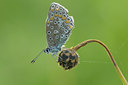 BUITEN BEELD Foto: 40325