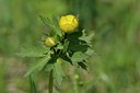 BUITEN BEELD Foto: 40340