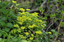 BUITEN BEELD Foto: 40346