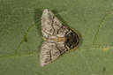 BUITEN BEELD Foto: 40424