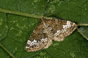 BUITEN BEELD Foto: 40439