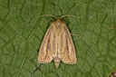 BUITEN BEELD Foto: 40441