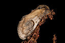 BUITEN BEELD Foto: 40461