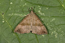 BUITEN BEELD Foto: 40465