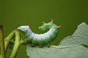 BUITEN BEELD Foto: 40491