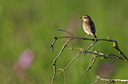 BUITEN BEELD Foto: 40525