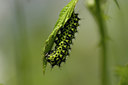 BUITEN BEELD Foto: 40559