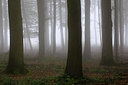 BUITEN BEELD Foto: 40576