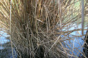 BUITEN BEELD Foto: 40578