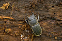 BUITEN BEELD Foto: 40596