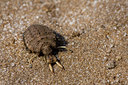 BUITEN BEELD Foto: 40697