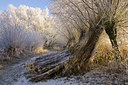 BUITEN BEELD Foto: 40734