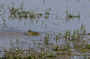 BUITEN BEELD Foto: 40757