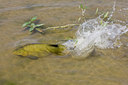 BUITEN BEELD Foto: 40760