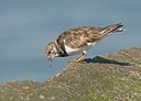 BUITEN BEELD Foto: 40835