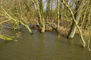 BUITEN BEELD Foto: 40863
