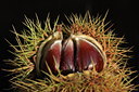 BUITEN BEELD Foto: 40984