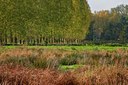 BUITEN BEELD Foto: 40993