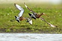 BUITEN BEELD Foto: 409005