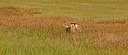 BUITEN BEELD Foto: 409043