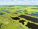 BUITEN BEELD Foto: 409238