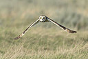BUITEN BEELD Foto: 409255