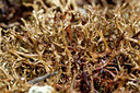 BUITEN BEELD Foto: 409395