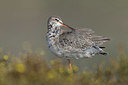 BUITEN BEELD Foto: 409404