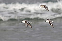 BUITEN BEELD Foto: 409683