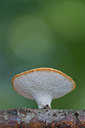 BUITEN BEELD Foto: 409947