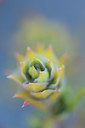BUITEN BEELD Foto: 410044