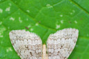 BUITEN BEELD Foto: 410274