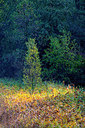 BUITEN BEELD Foto: 410419
