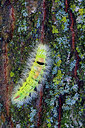BUITEN BEELD Foto: 410708