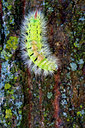BUITEN BEELD Foto: 410732