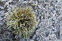 BUITEN BEELD Foto: 411188