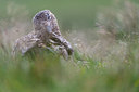 BUITEN BEELD Foto: 411342