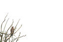 BUITEN BEELD Foto: 411366