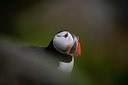 BUITEN BEELD Foto: 411379