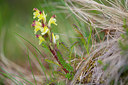 BUITEN BEELD Foto: 411572