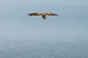 BUITEN BEELD Foto: 411761