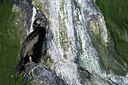 BUITEN BEELD Foto: 411763