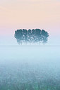 BUITEN BEELD Foto: 411783